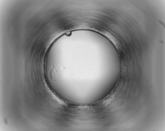 X0000093391142200710251235