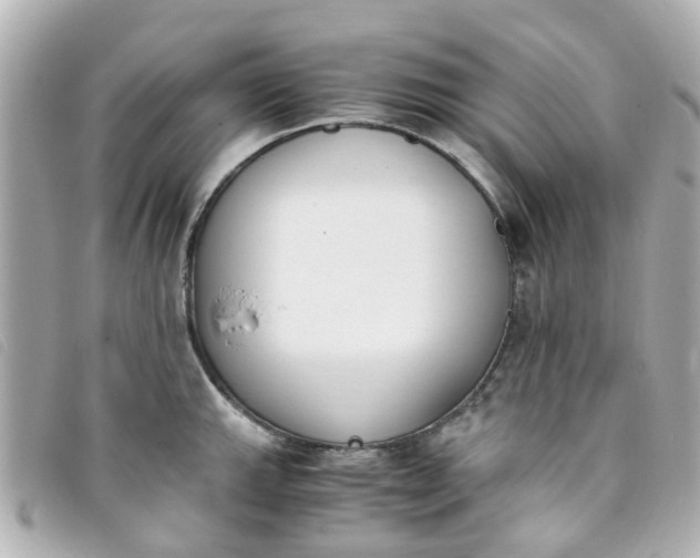 X0000093391143200710251235