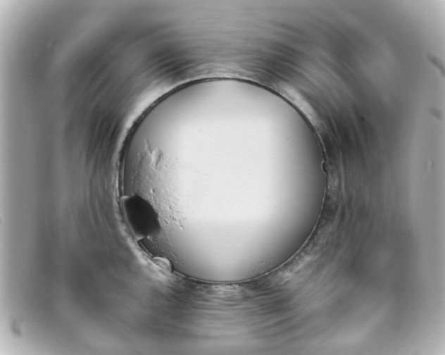 X0000093391144200710251235