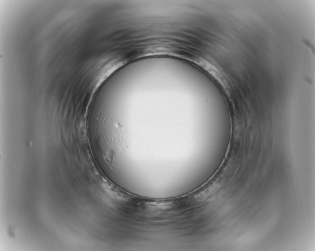 X0000093391145200710251235