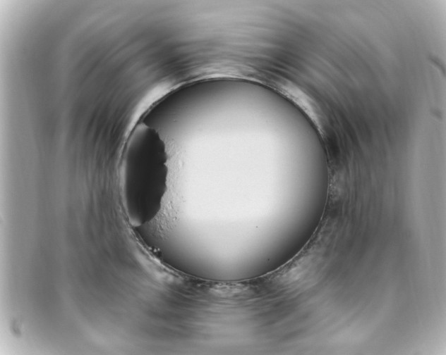 X0000093391146200710251235