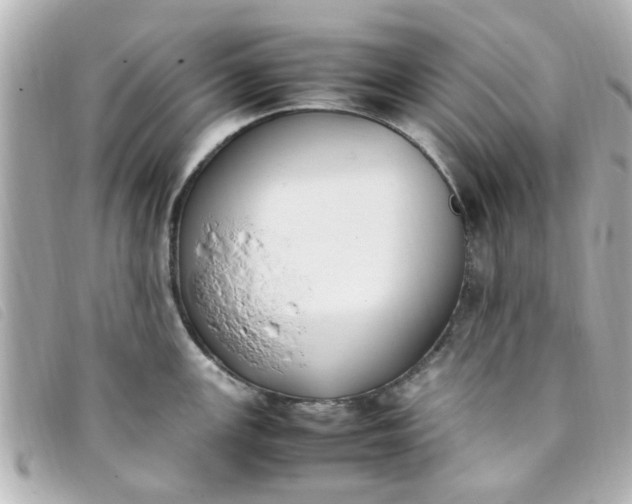 X0000093391147200710251235