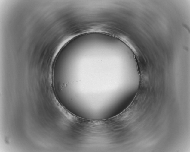 X0000093391148200710251235