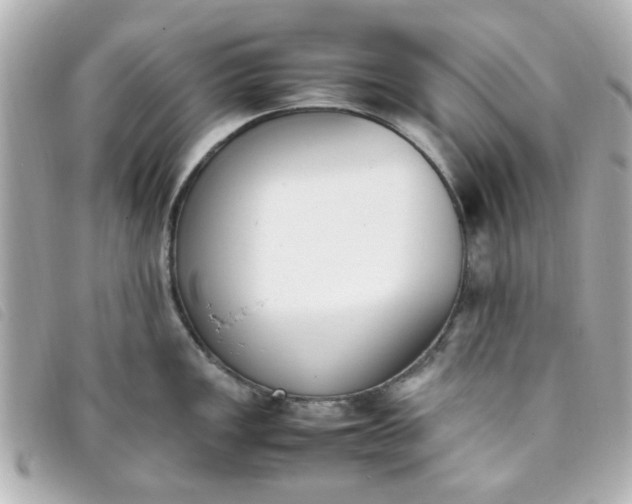 X0000093391149200710251235