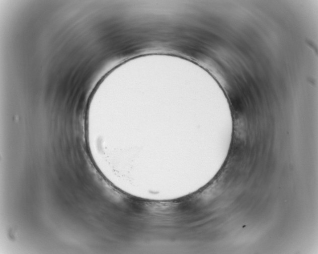 X0000093391150200710251235