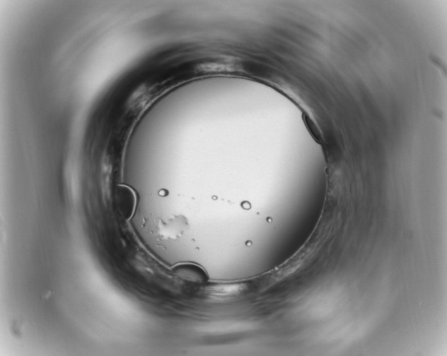 X0000093391151200710251235