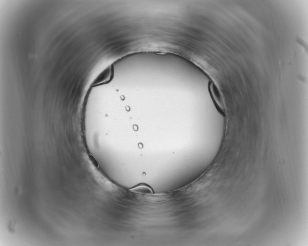 X0000093391152200710251235