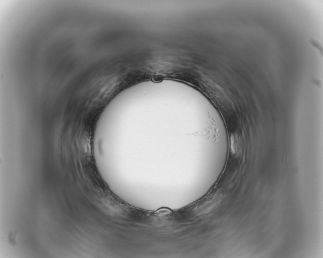 X0000093391155200710251234