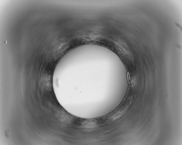 X0000093391156200710251234