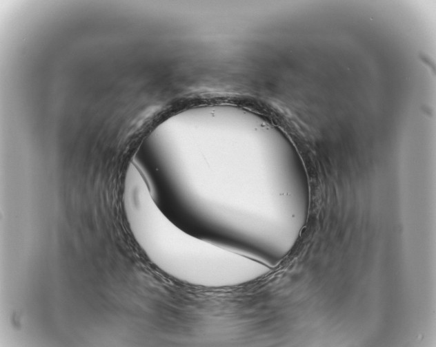 X0000093391157200710251234