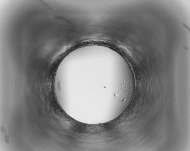 X0000093391159200710251234