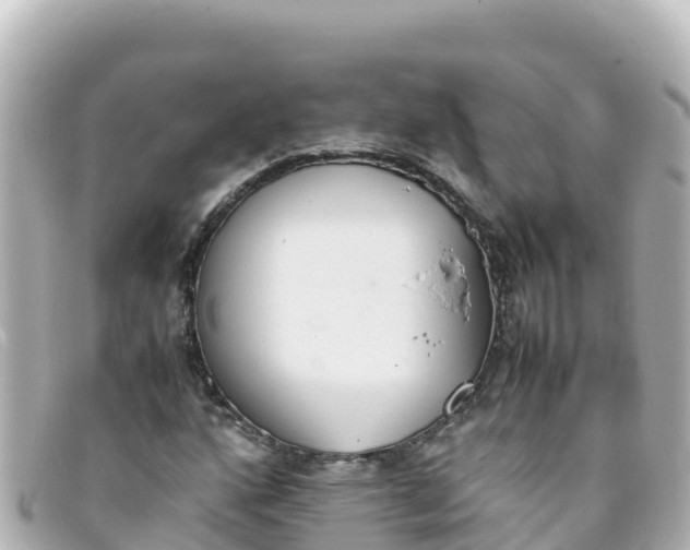 X0000093391160200710251234