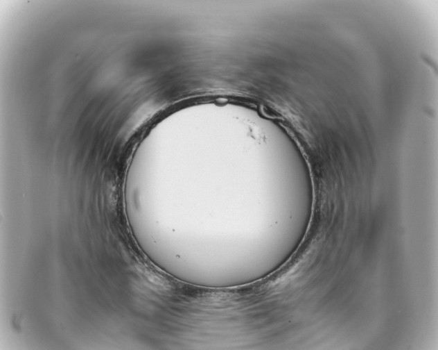 X0000093391163200710251234