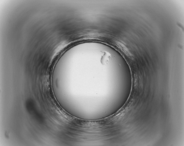 X0000093391164200710251234