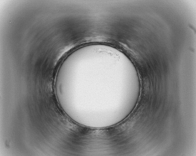 X0000093391166200710251234