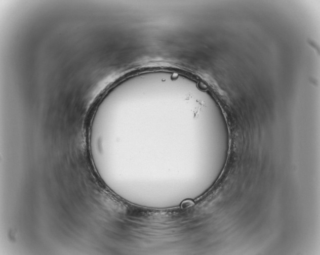 X0000093391167200710251234