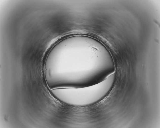 X0000093391168200710251234