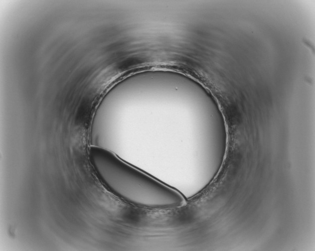 X0000093391169200710251234