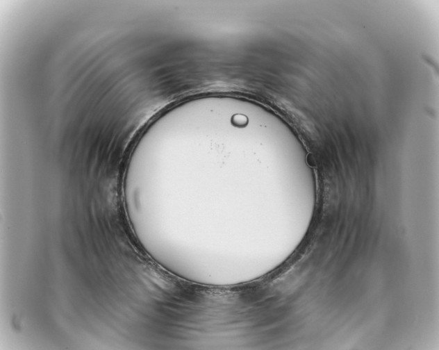 X0000093391170200710251234