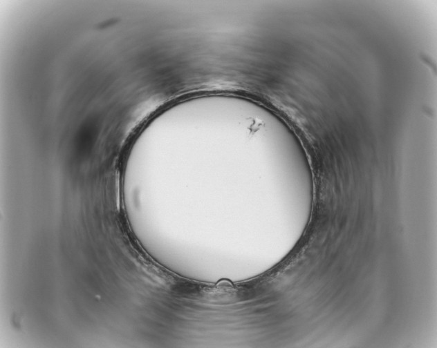 X0000093391171200710251234