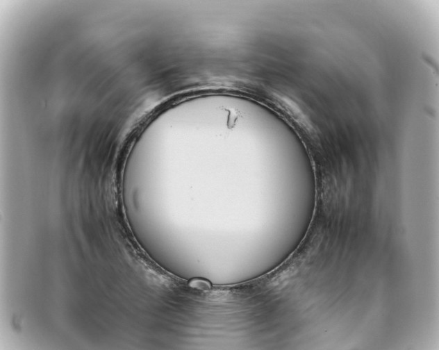 X0000093391172200710251234