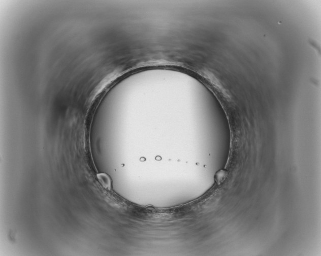 X0000093391173200710251234