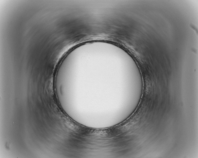 X0000093391174200710251234