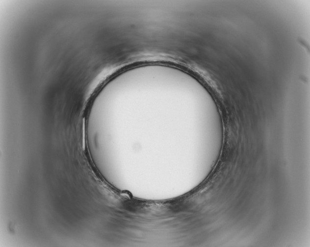 X0000093391175200710251234