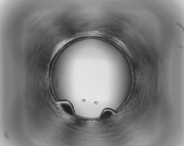 X0000093391176200710251234