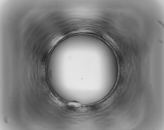 X0000093391177200710251234