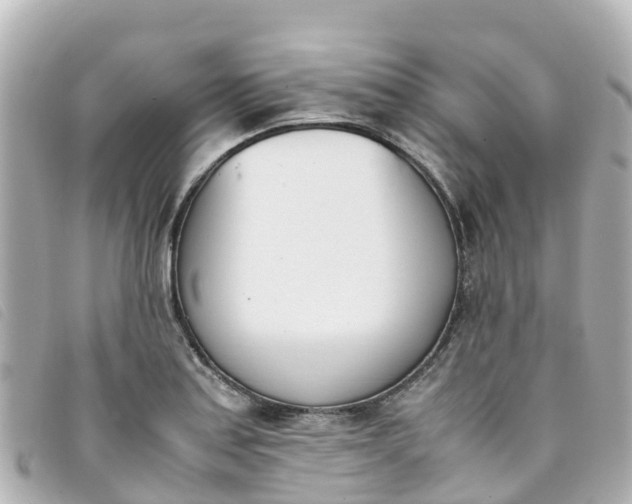 X0000093391179200710251234