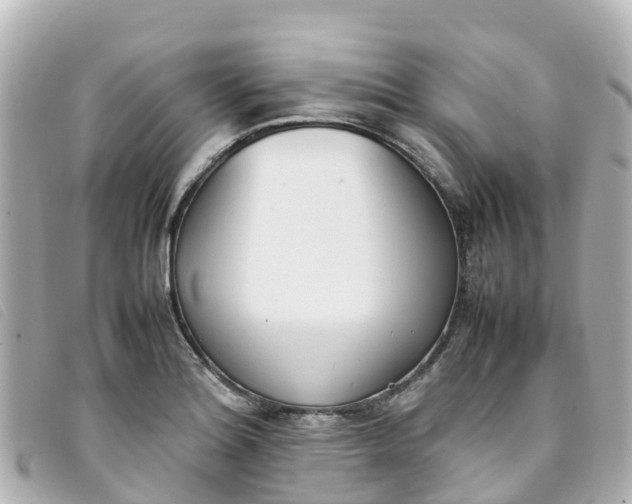 X0000093391180200710251234