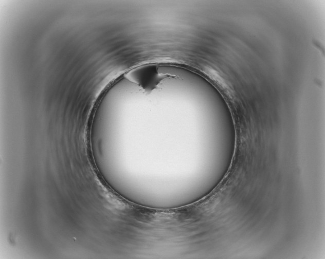 X0000093391181200710251234