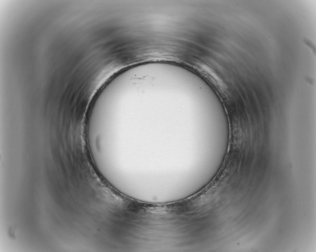 X0000093391182200710251234