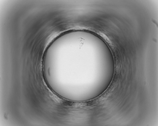 X0000093391183200710251234