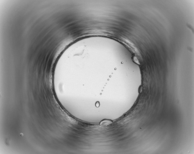 X0000093391188200710251234