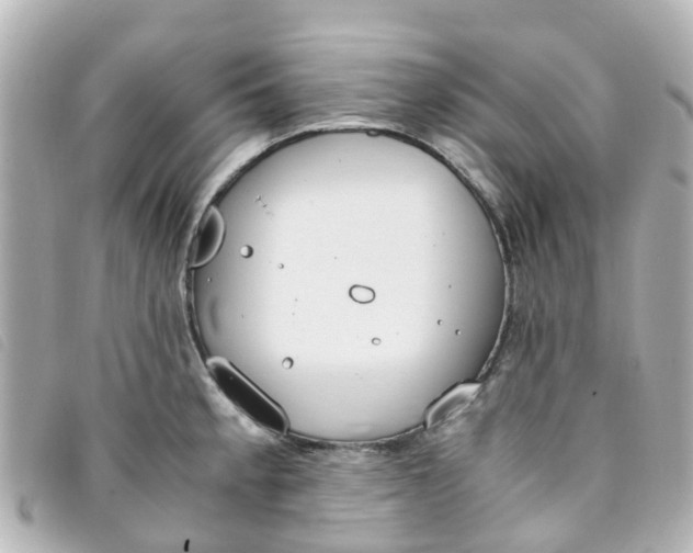 X0000093391189200710251234