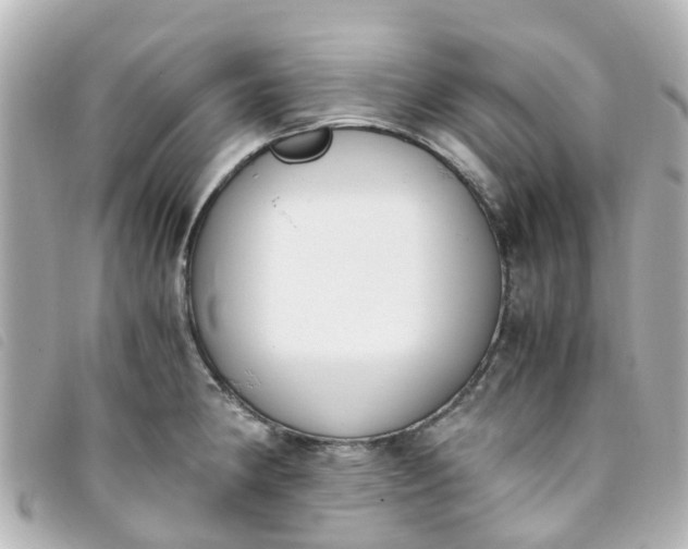 X0000093391190200710251234