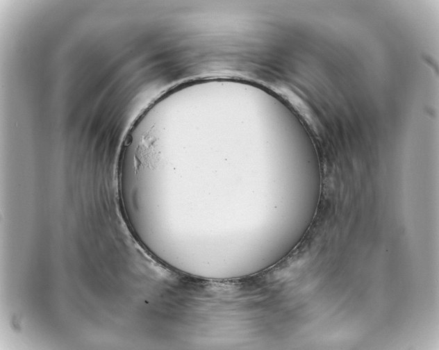 X0000093391191200710251234