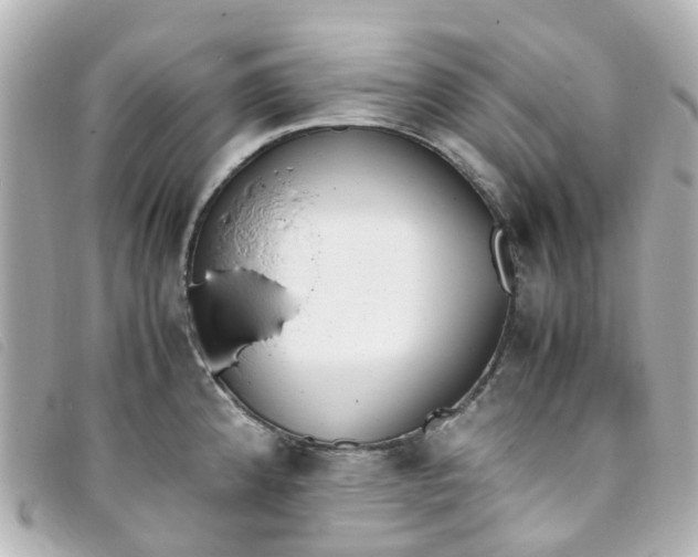 X0000093391192200710251233