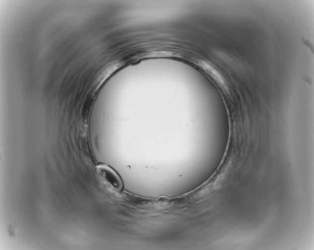 X0000093391193200710251233