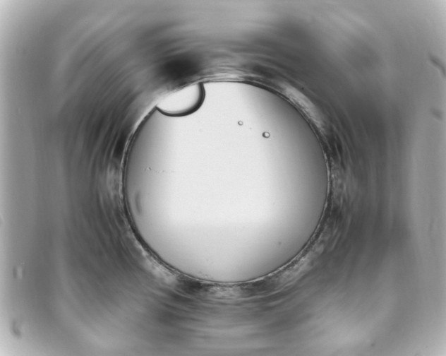 X0000093391194200710251233