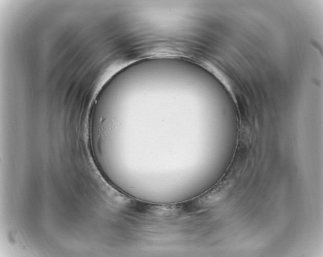 X0000093391195200710251233