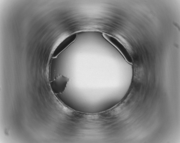 X0000093391196200710251233