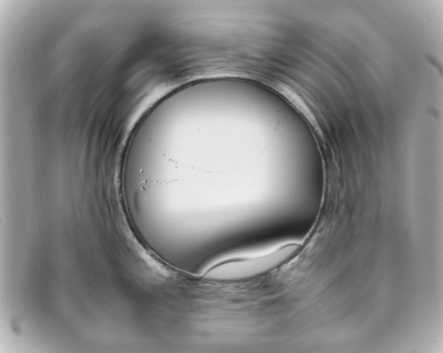 X0000093391197200710251233