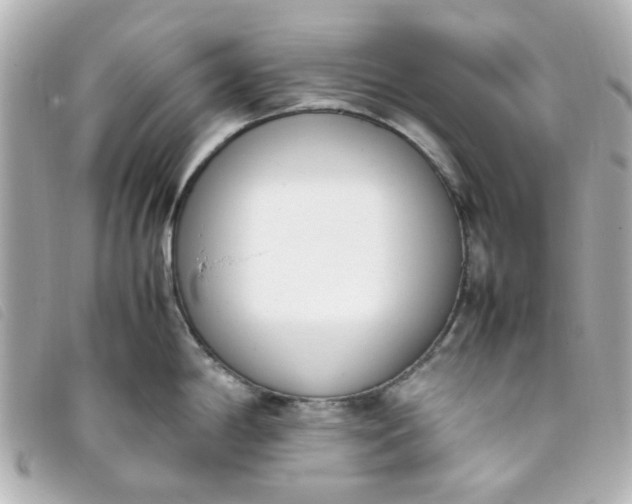 X0000093391198200710251233