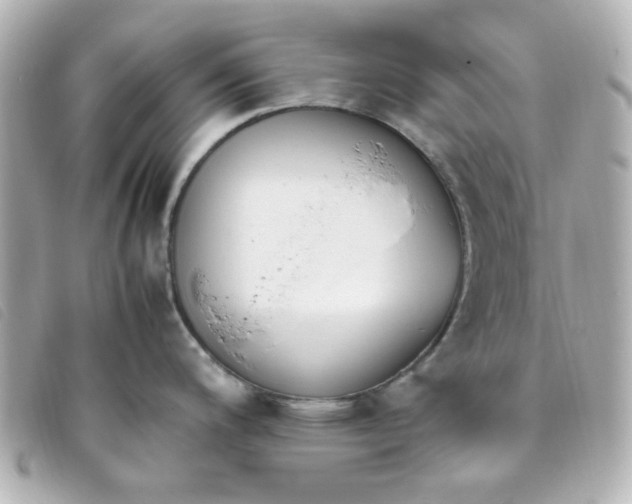 X0000093391200200710251233