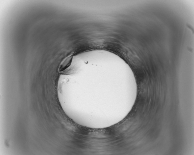 X0000093391201200710251233