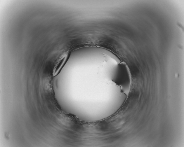 X0000093391202200710251233