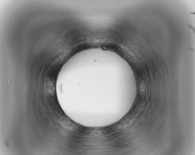 X0000093391204200710251233